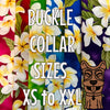 Classic White Yellow Plumeria Dawg Collar