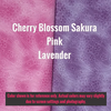 Asian Cherry Blossom Harness