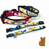 Classic White & Yellow Plumeria Dawg Collar