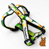 Classic White & Yellow Plumeria Harness