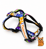 KITTI Harness - Lei Stand Prints