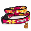 Lei Prints Dawg Collar