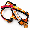 KITTI Harness - Lei Prints