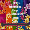 Lei Prints Dawg Harness