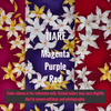 Other Hawaiian Flowers Dawg Harness