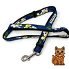 Plumeria Multicolor Leash