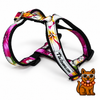 Plumeria Multicolor Harness