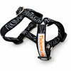 KITTI Harness - Monstera