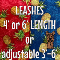 Just Pineapples Leash